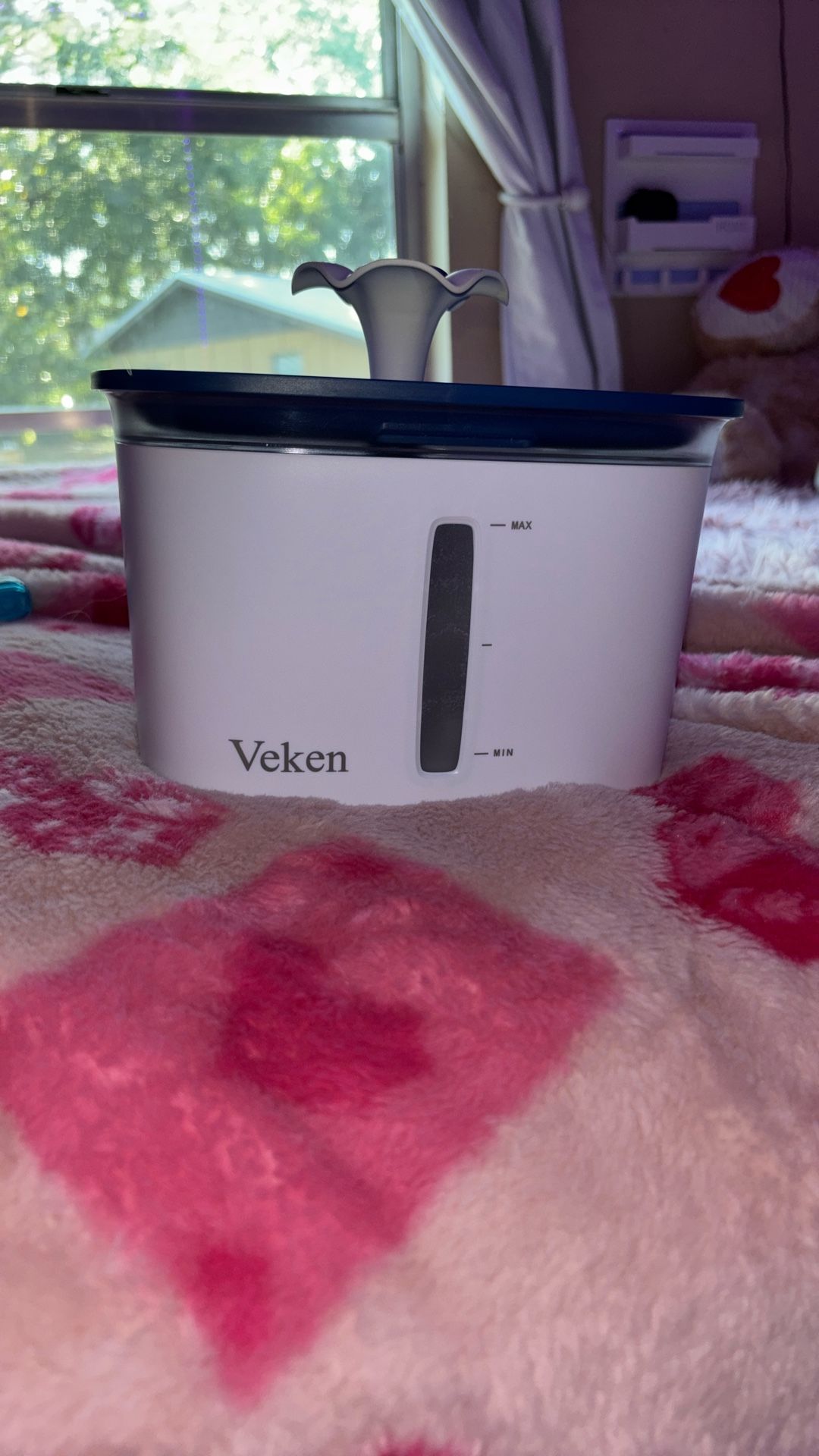 Filtered water bowl