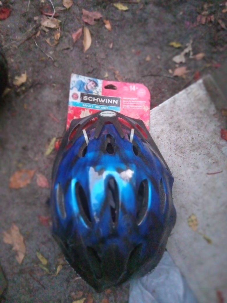 Schwinn Interceptor Helmet