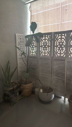 Patio items