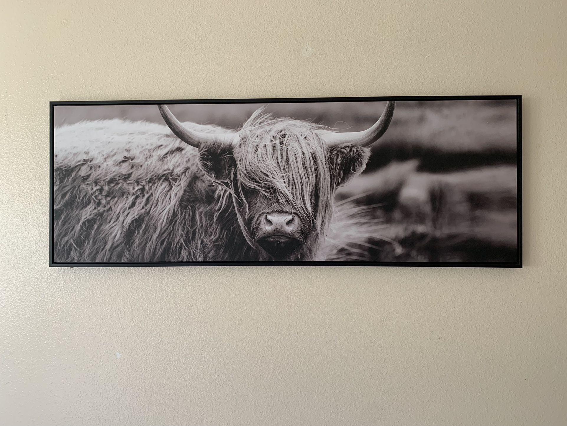 Cow Art