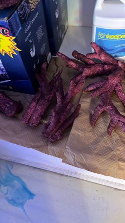 Saltwater Dry Rock And Branches 