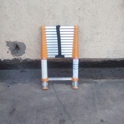 Extendable Ladder