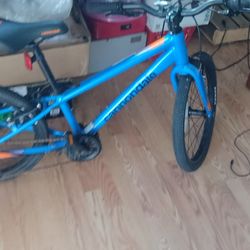 Cannondale Kids!