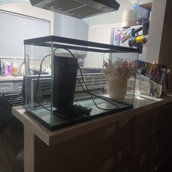 10 GALLON FISHTANK 