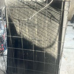 Big Dog Kennel