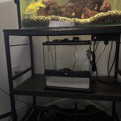 Exo Tera 12x12x12 