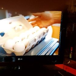 32" LG TV with Built-in DVD 