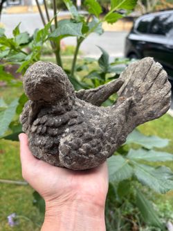 Concrete garden dove