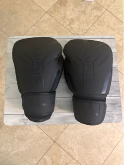 Liberlupus 16oz Boxing Gloves – Like New