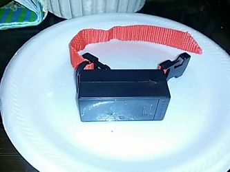 Anti-bark dog collar. Painless