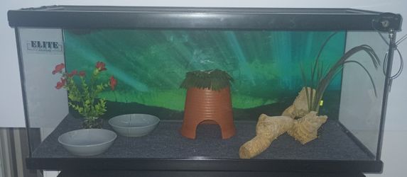 20 Gallons Long Reptile Tank Kit Top Opening 