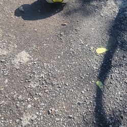 Weed Eater