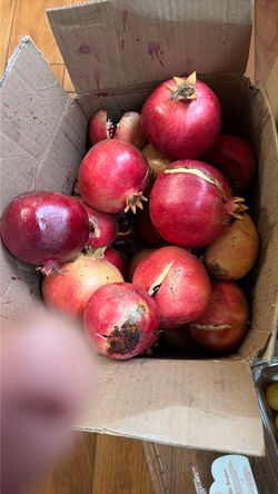 Organic pomegranate