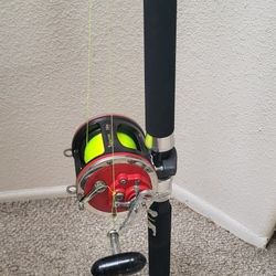 Deep Sea Fishing Rod & Penn Reel