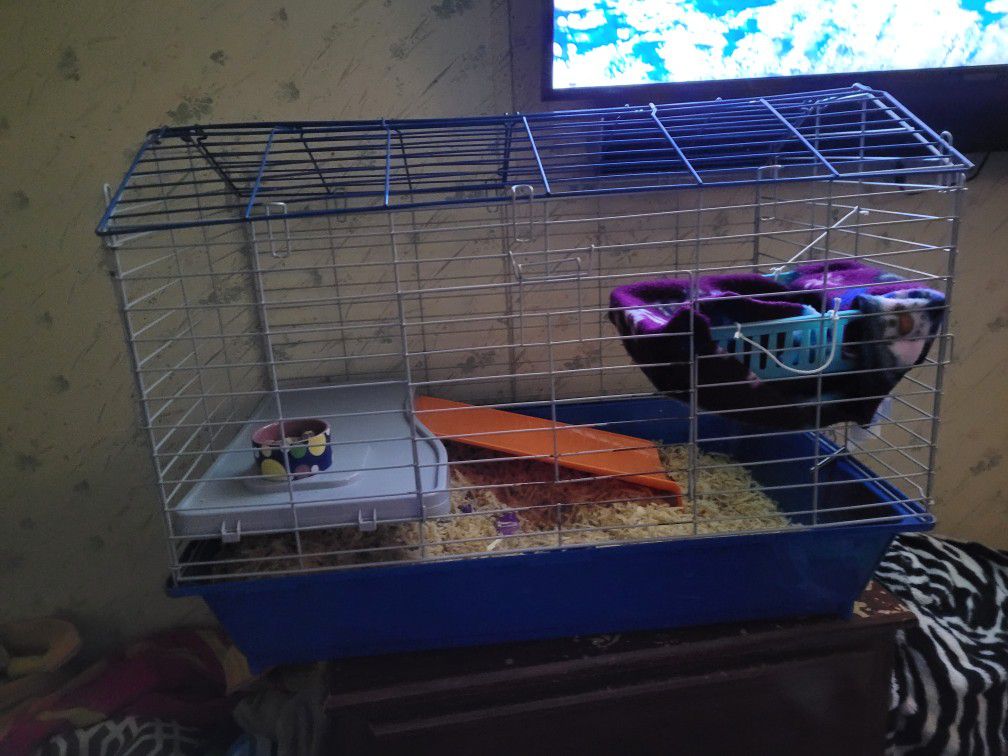 Bunny/ Guinea Pig Cage 