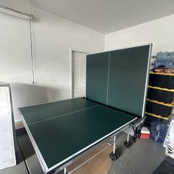 Ping Pong Table 