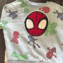 Team Spider Sweater 2t