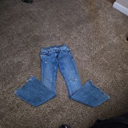 Arizona Jr's Y2k Flare Size 3