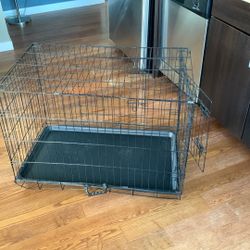 Dog Cage