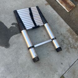 Heavy Duty Ladder (extended)