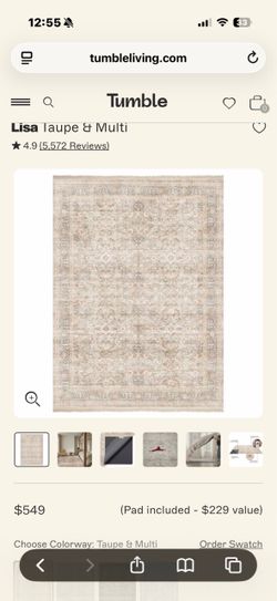 Tumble Lisa Taupe & Multi Area Rug