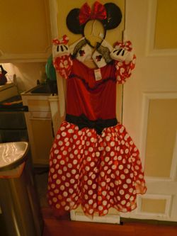 Adult size Minnie Halloween costume