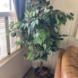 Beautiful Fake Indoor Plant 