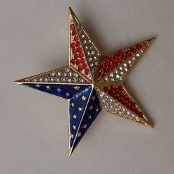 Red, white, and blue jeweled star brooch.
