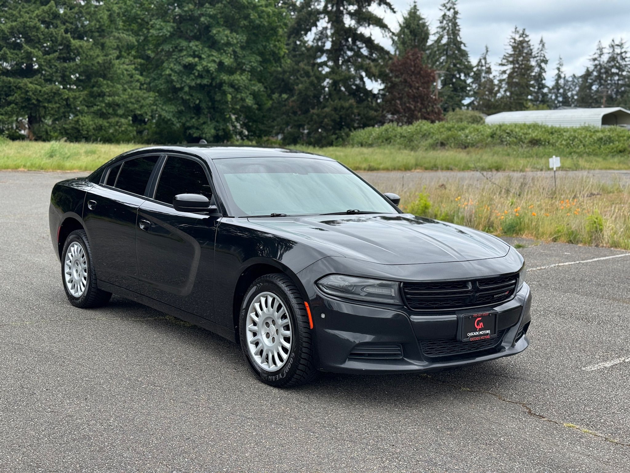 2019 Dodge Charger