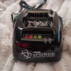 Echo eForce Battery Charger 