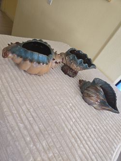 Set of 3 decorative shells