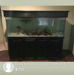200 gallon fish tank very nice