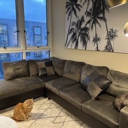 Sectional Couch, Foot Rest Storage, & Pillows