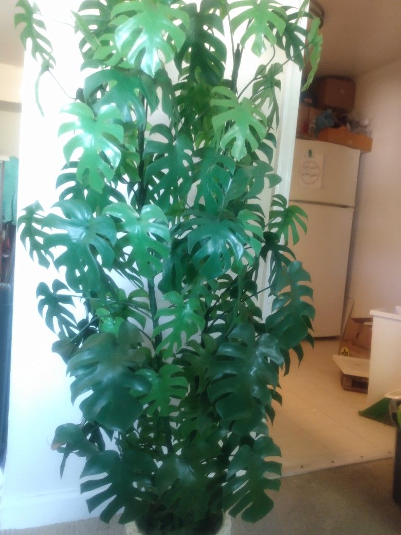 35 Inches Monstera Plastic Plant