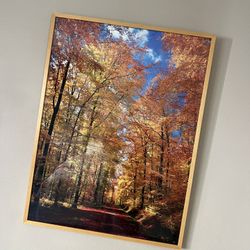 Frame picture
