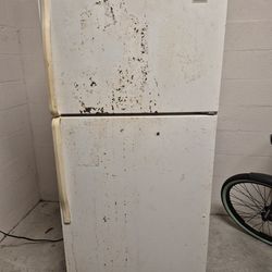 Working Refrigerator