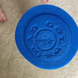 Gold’s Gym brand Foam Roller - NEW