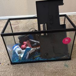 Fish Tank