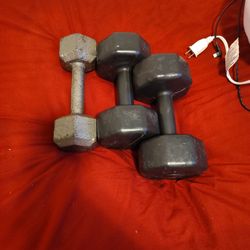 2   8 Lb Weights And One 12 Lb Weight