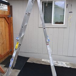 Werner Ladder 17' $ 100
