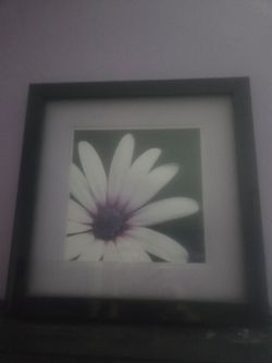 Set of 2 different floral wall pictures, will sell individually too $20 total for set