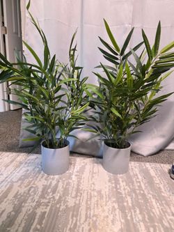 2 piece faux plants 30inch