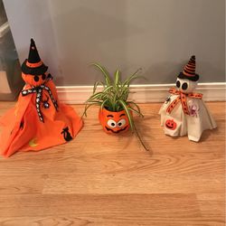 Halloween Spider Plant