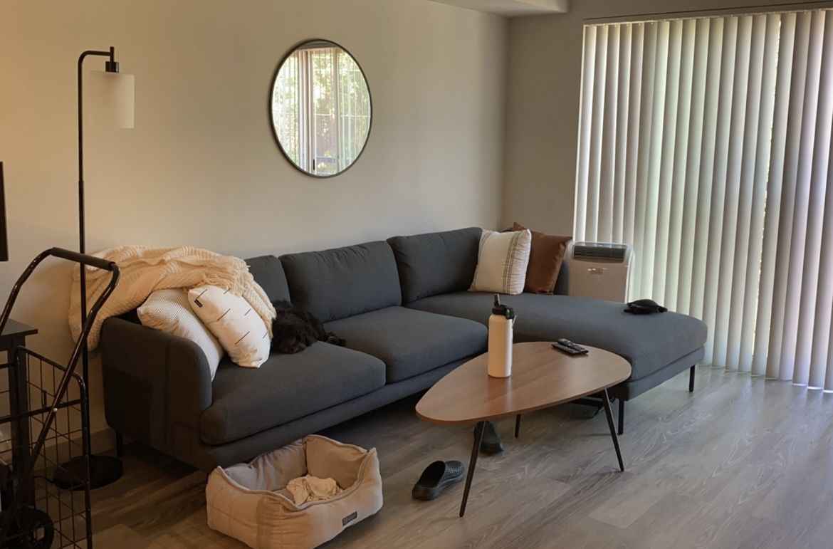 Castlery Pebble Chaise Sectional Like New