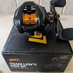 Team Lew's Pro SP 