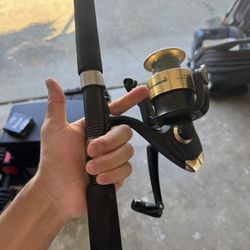 Fishing Rod, Fishing Reel, Shakespeare, Ugly Stick 