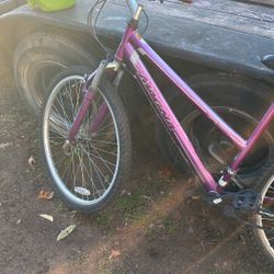 Magna Bike Working Condition