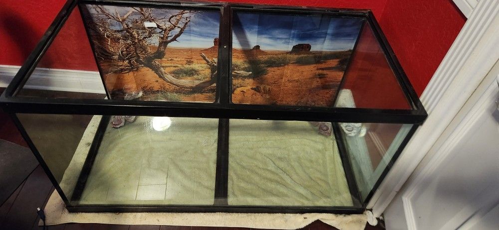 Aquarium Used For Reptile Can Be Converted Into A Salt Water Aquarium