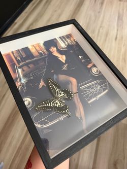 ELVIRA FRAME REAL BUTTERFLY
