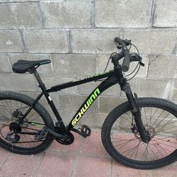 Adult Bike 